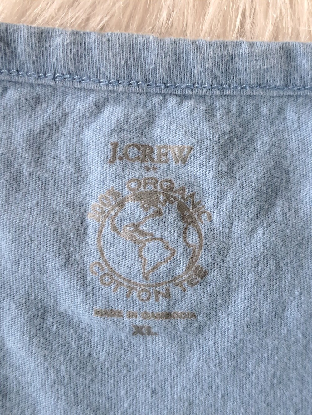 J. Crew Organic Cotton Crop Tee - Picture 5 of 5